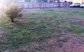 642 m² Land available in Despatch