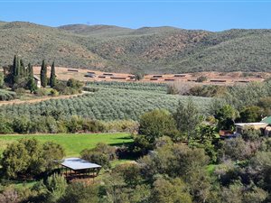 65.5 ha Land available in De Rust