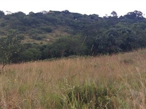 1.4 ha Land available in White River