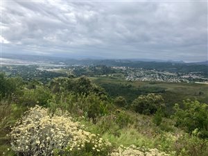 1015 m² Land available in Pezula Golf Estate