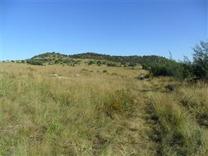 4.3 ha Land available in Eikenhof