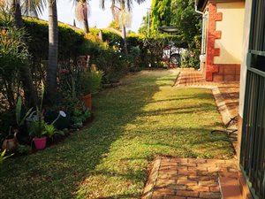 3 Bed House in Hesteapark