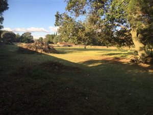 1.2 ha Land available in Rynfield