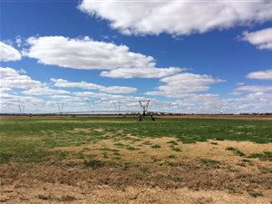 139 ha Farm in Bendor