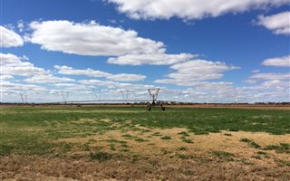 139 ha Farm in Bendor