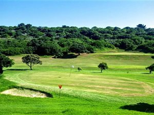 715 m² Land available in Great Brak River