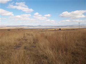 46 ha Farm in Newcastle Central