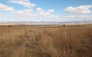 46 ha Farm in Newcastle Central