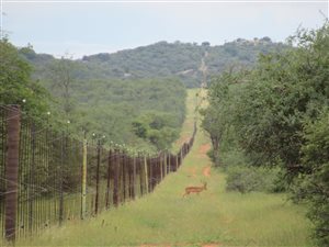 750 ha Farm in Alldays