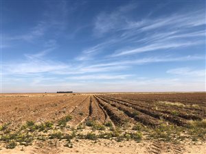 478 ha Land available in Kroonstad