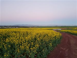 1.1 ha Land available in Philadelphia