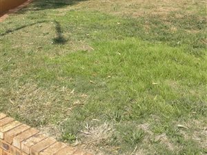 562 m² Land available in Strubenvale