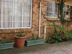 3 Bed Cluster in Westwood