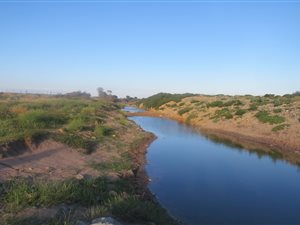 236 ha Farm in Stilbaai