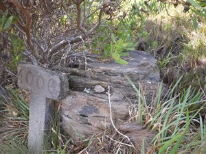 781 m² Land available in Bettys Bay