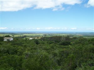 1362 m² Land available in Bathurst and Surrounds