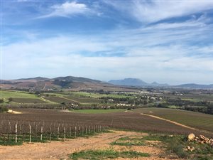 95.1 ha Farm in Stellenbosch Agricultural