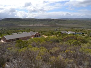 86 ha Farm in Albertinia
