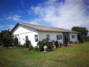 38 ha Farm in East London Rural