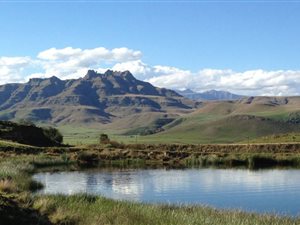 94 ha Farm in Underberg