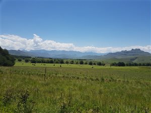 94 ha Farm in Underberg