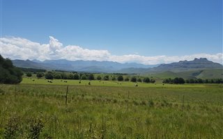 94 ha Farm in Underberg