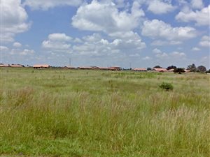 2.3 ha Land available in Riversdale