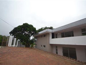 3 Bed Apartment in Berea West