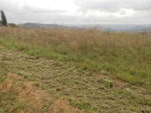 3.1 ha Land available in Verulam
