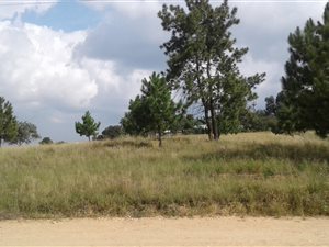 2 m² Farm in Nooitgedacht