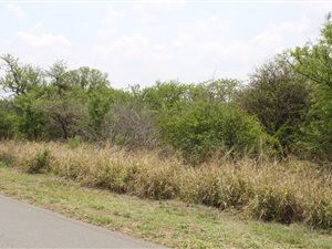 1 ha Land available in Pebble Rock
