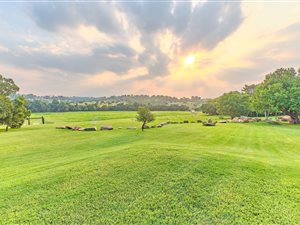 4828 m² Land available in Laezonia