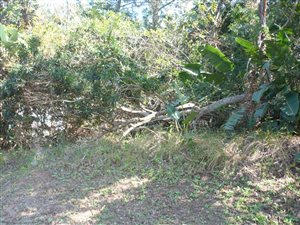 577 m² Land available in Pennington