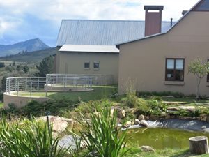 40 ha Farm in Mossel Bay Central