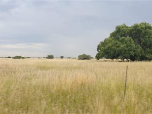 214 ha Farm in Vryburg
