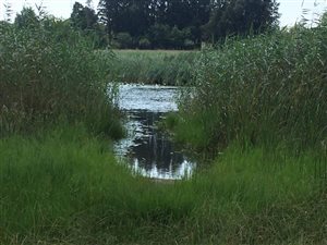 300 ha Farm in Buffelspoort