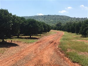 300 ha Farm in Buffelspoort