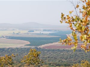 126 ha Farm in Groblersdal