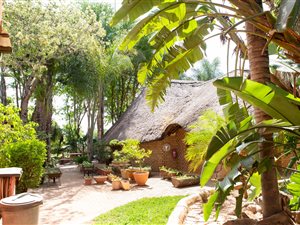 8.5 ha Farm in Ivydale