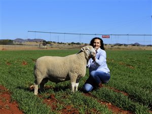 1050 ha Farm in Fauresmith
