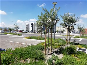 2 Bed Apartment in Bellville South