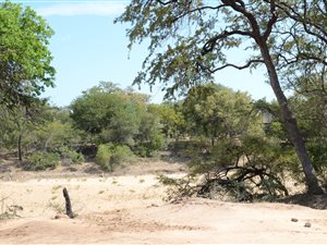 1.1 ha Land available in Raptors View Wildlife Estate