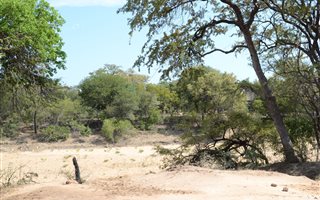 1.1 ha Land available in Raptors View Wildlife Estate