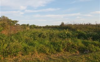 1012 m² Land available in Eshowe