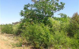 1666 m² Land available in Neserhof