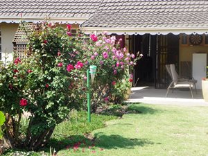 3 Bed House in Witfield