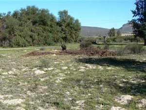 744 m² Land available in Redelinghuys