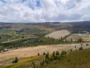 82.9 ha Farm in Elgin