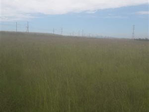 3 ha Farm in Withok Estates