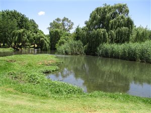 310 m² Commercial space in Henley on Klip